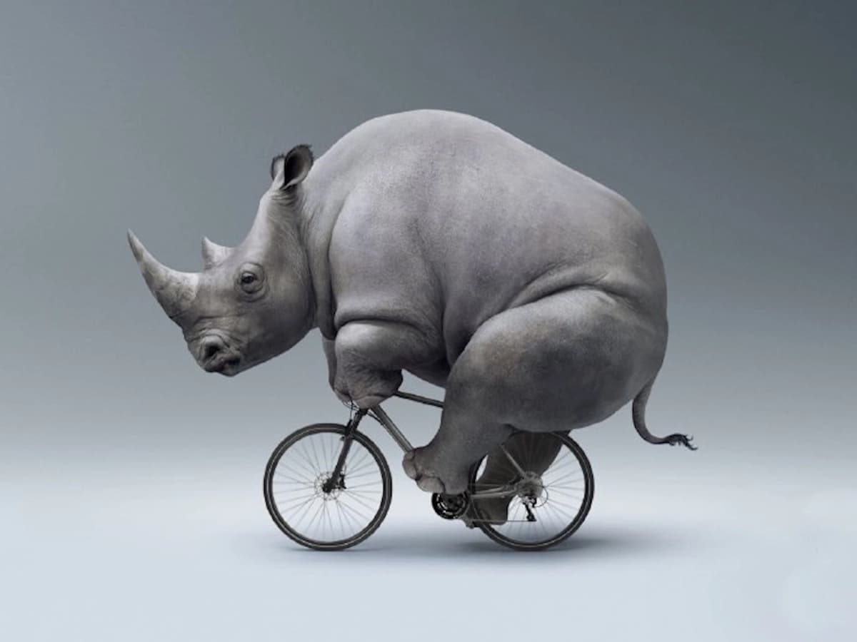 Какие изменения ждут SEO и рекламу в 2026 году: главные тренды и прогнозы