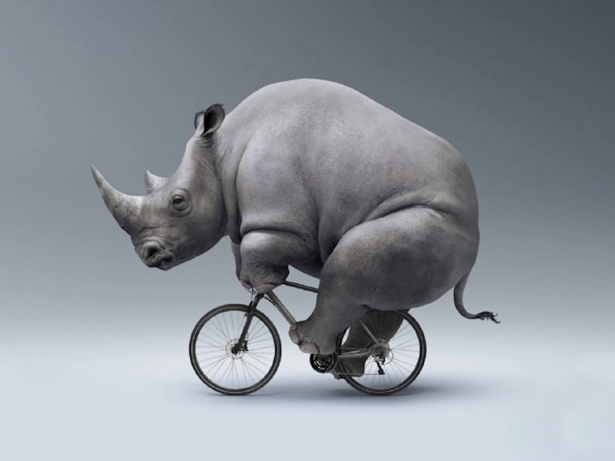 Обложка статьи